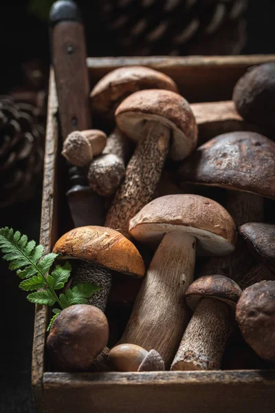 Closeup Cogumelos Frescos Selvagens Caixa Madeira Velha — Fotografia de Stock