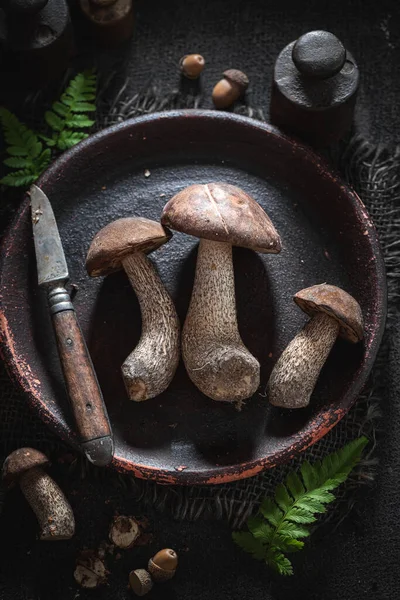 Cogumelos Silvestres Frescos Com Arcon Chapa Escura — Fotografia de Stock