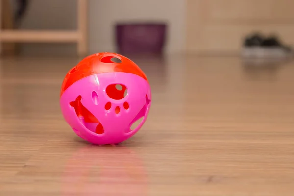 Рожевий м'яч для домашніх тварин грати — стокове фото