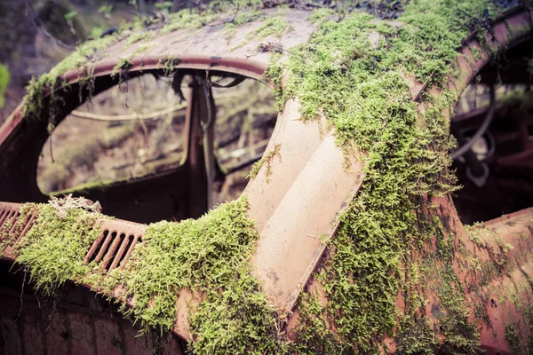 Вінтажний автомобіль іржавіє в лісі — стокове фото