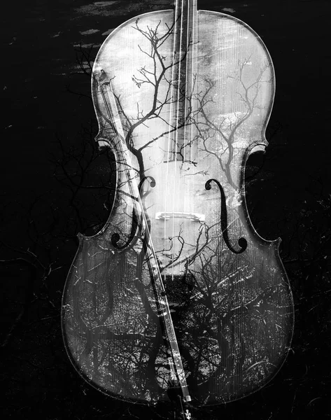 Cello met natuur overlay — Stockfoto