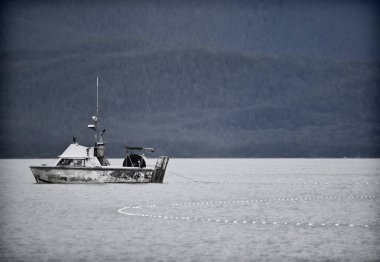 Alaska Driftnet Balık tutma
