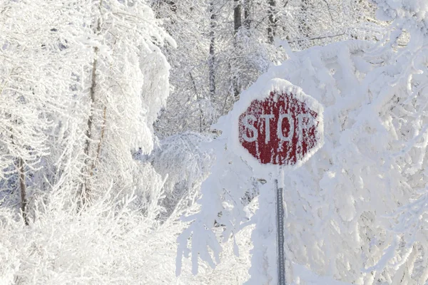 Stop panneau avec neige — Photo