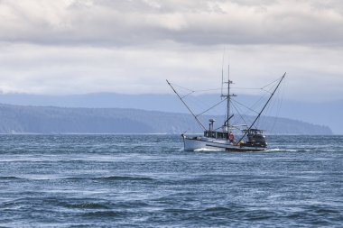 Güneydoğu Alaska somon avcısı