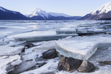Chilkat Nehri buz parçaları