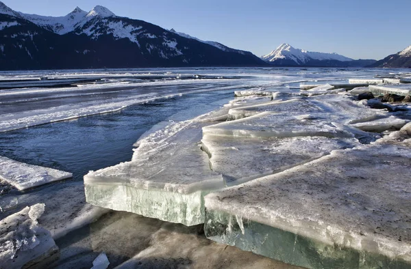 Platen van ijs in de monding van de Chilkat — Stockfoto