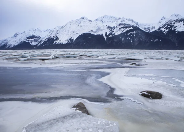 겨울에 Chilkat 입구 — 스톡 사진