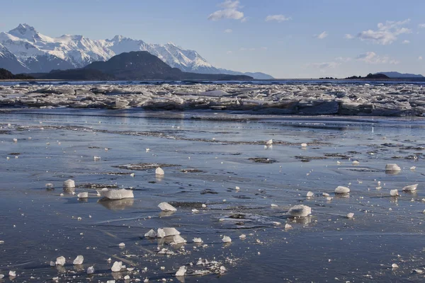 Chilkat rivier ijs — Stockfoto