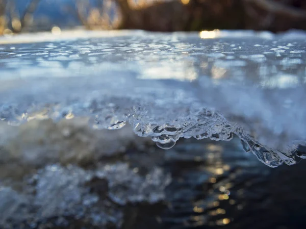 Bajo el hielo —  Fotos de Stock