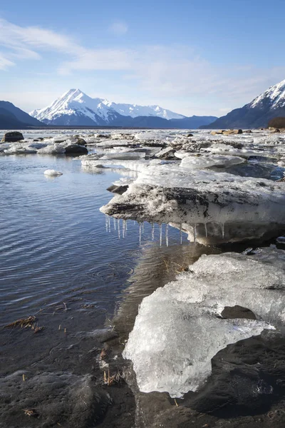 De brokken ijs in de monding van de Chilkat — Stockfoto