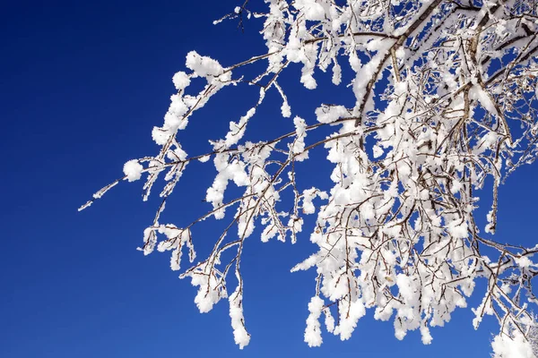 雪与蓝蓝的天空 — 图库照片