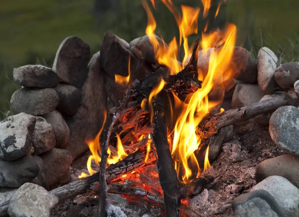 Sommer-Lagerfeuer in Nahaufnahme — Stockfoto
