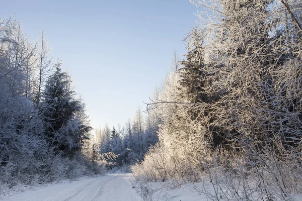 Winter weg in de buurt van zonsondergang — Stockfoto