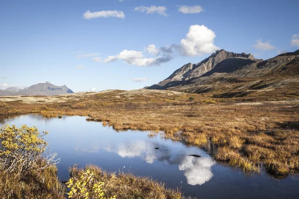Reflexiones del estanque de Tundra en otoño — Foto de Stock