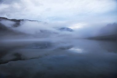 Sisin içinde balina