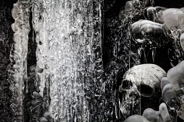 Skull in ice cave — Stock Photo, Image