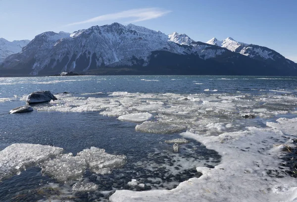 Buz Chilkat giriş — Stok fotoğraf