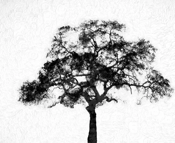 带纹理背景的剪影树 — 图库照片