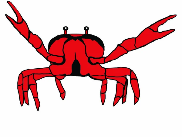 Red crab illustration — Stock Photo, Image