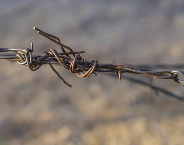 Barbed wire fence close up — Stock Photo, Image