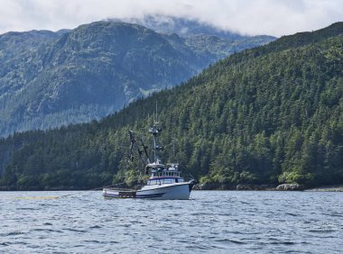 Güneydoğu Alaska 'da somon balıkçı teknesi