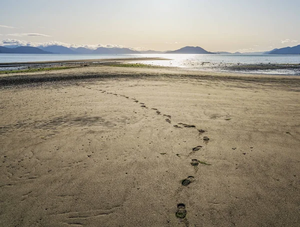 Stopy v písku na pláži s výhledem na oceán — Stock fotografie