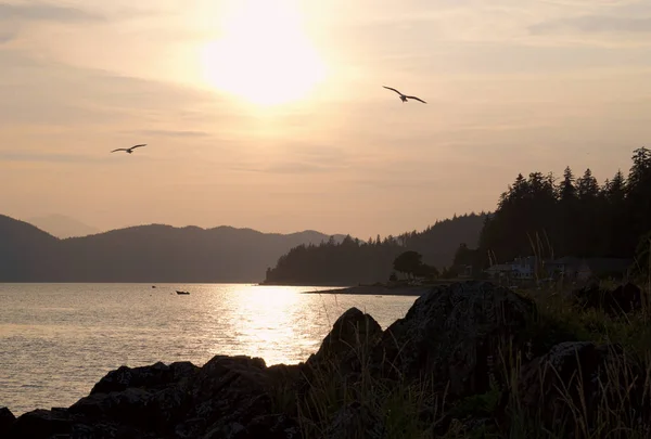 Puesta de sol cerca de Juneau — Foto de Stock