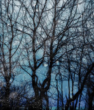 Karlı ağaç siluetleri.