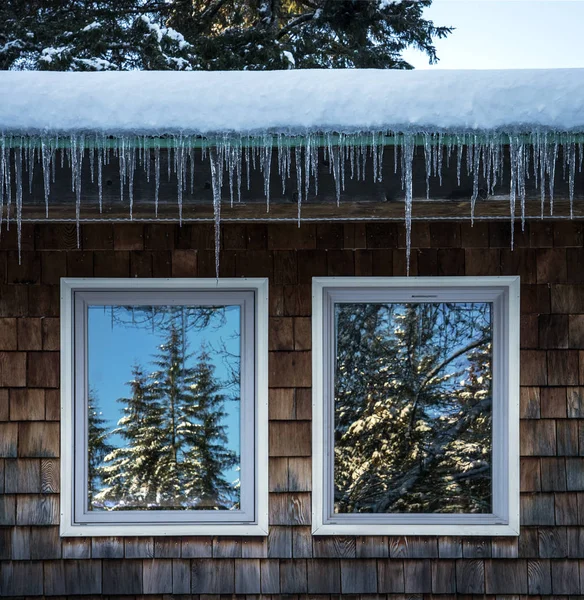 IJspegels op huis met bomen reflecties in ramen — Stockfoto