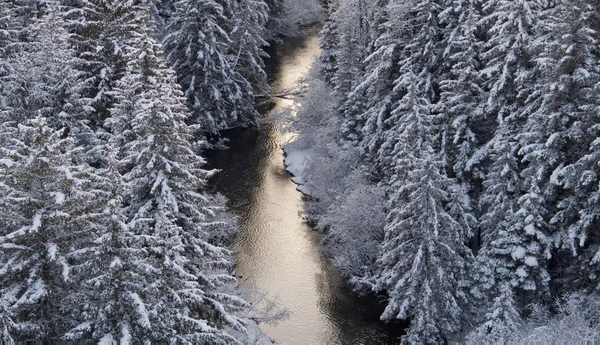 雪の降る冬は森の中を流れる川の上 — ストック写真