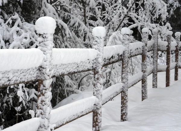 大雪后的乡村围栏 — 图库照片
