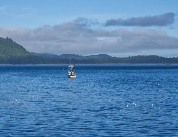 Small commercial fishing boat in calm water near Hoonah Alaska in summer with seagulls. — Stock Image Small Commercial Fishing Boat Calm Water Hoonah Alaska Summer Seagulls Stock Image