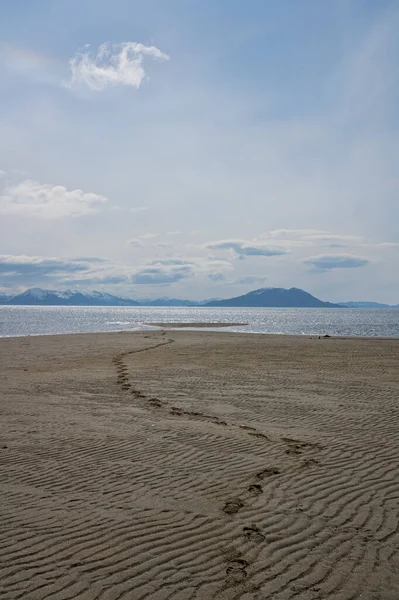 Huellas Una Playa Vacía Cerca Gustavus Alaska Con Cielo Azul — Foto de Stock