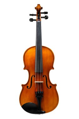 Keman beyaz üzerine izole
