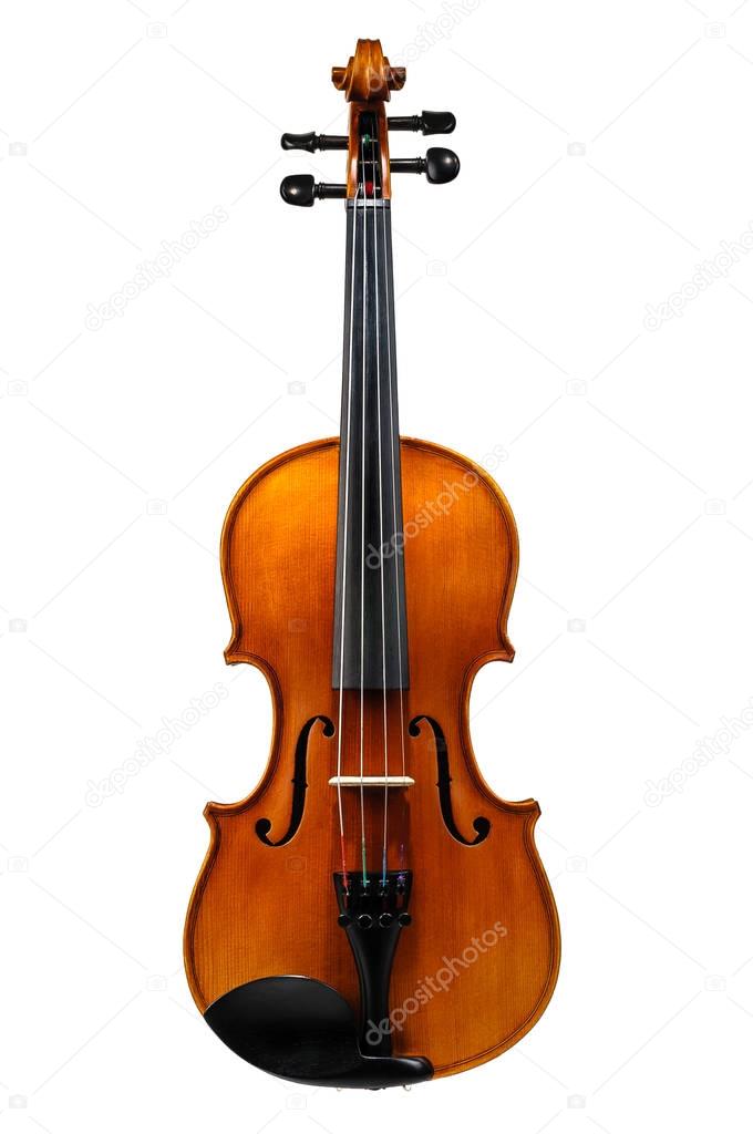 Violin isolated on white