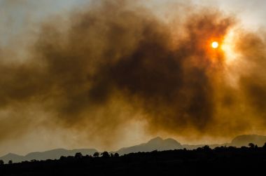 Albay del Bosque, Cuernavaca, Morelos, Meksika 'daki orman yangını.
