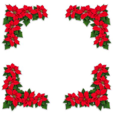 Atatürk çiçeği çiçek Noel dekorasyon