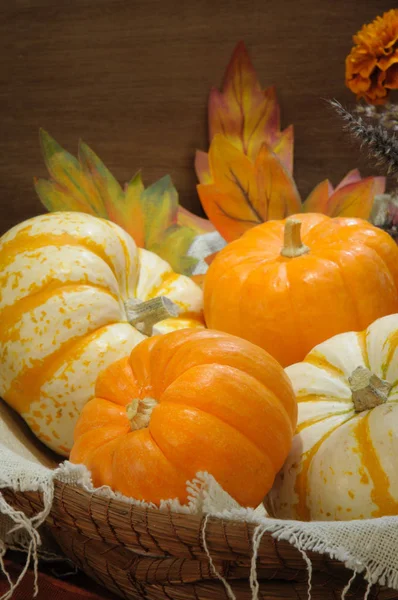 Thanksgiving Blessing Celebrating, Pumpkins, Leaves — Stock Photo, Image
