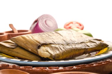 Oaxacan tamal made of corn chicken pork and chili clipart