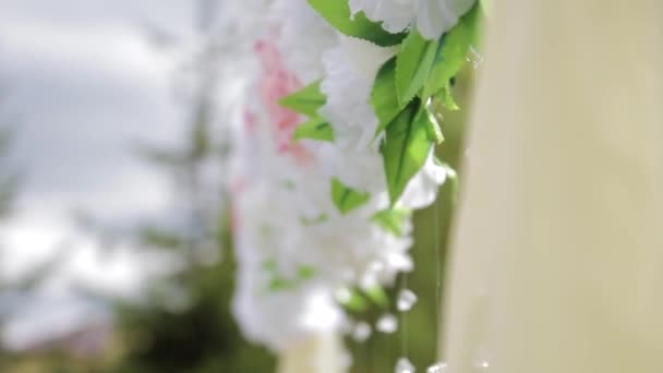 Hermoso Arco Boda Naturaleza — Vídeo de stock