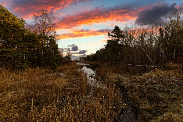 Väg Till Havet — Stockfoto