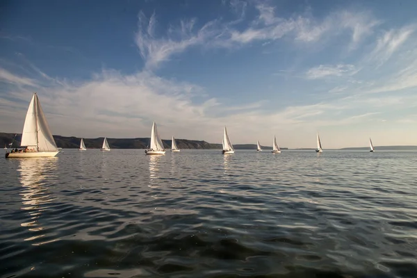 Regatta yelken yelkenli yatlar