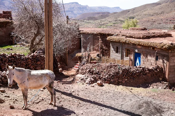 Vida Los Pueblos Bereberes Marruecos — Foto de Stock