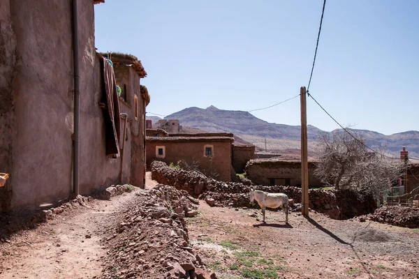 Vida Los Pueblos Bereberes Marruecos — Foto de Stock