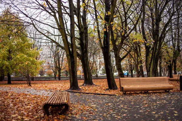 Sonbahar Parkı 'nda ıslak banklar