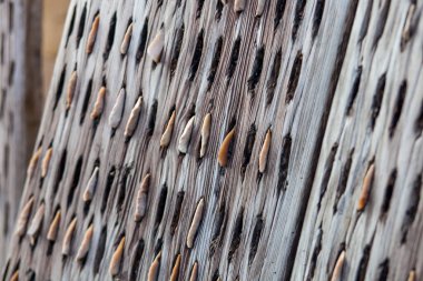 Ahşap ve taş yıkama tahtası.