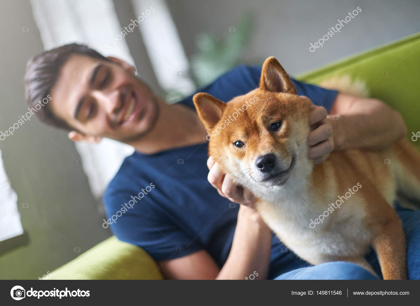 Close Up Portrait Of Shiba Inu Dog Face Sitting On Green