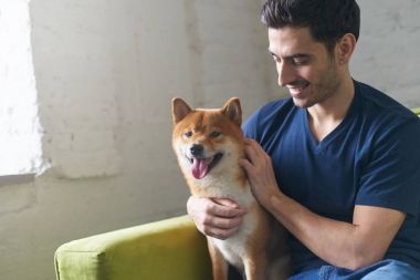 Genç çekici Avrupa erkek evde kanepede onun sevimli hayvan üzerinde seyir okşayarak ve sevişme en iyi arkadaşı ile shiba Inu köpek, oturma portre. Dostluk, beraberlik kavramını.