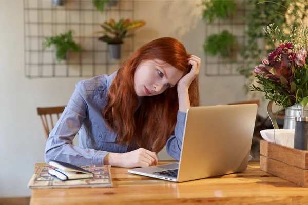 Молодая женщина сидит в кафе перед ноутбуком, глядя на экран — стоковое фото