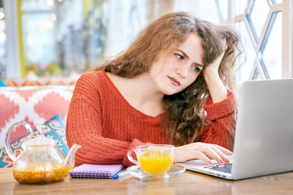 Портрет молодой веснушки белой студентки с длинными вьющимися рыжими волосами, работающей с ноутбуком — стоковое фото
